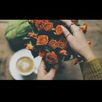 Nehal Taha - Facebook