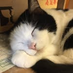 Nei Chën - @nei_chen - Instagram
