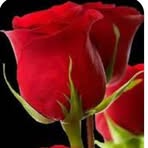 Neida Morales Pérez - Facebook