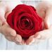 Neida Sanchez - Facebook