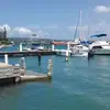 neikobrown6880 - @neikobrown6880 - TikTok