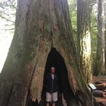 Neil Acton - @826casita - Instagram