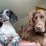 Neil Aitchison - @aitchie_1874 - Instagram