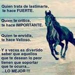 Neil Alan Allison Estrella - @neilallisonestrella - Instagram
