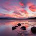 Damato Neil - Facebook