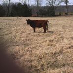 Neal Applegate - Facebook