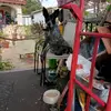 nealapplegate - @nealapplegate - TikTok