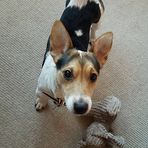 Neil Applegate - Facebook