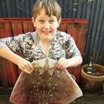 Neil Archer - @neil4991 - Instagram