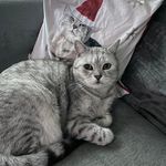 Neil Archer - @archer.neil - Instagram