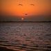 Neil Arrowsmith - Facebook