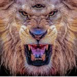 Neil J. Ayers - @major_a.parent - Instagram