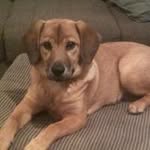 Neil Bachman - @bachmanneil - Instagram