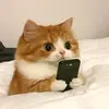 Tiểu Bạch - @tieubach_neil2005 - TikTok