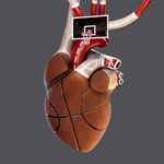 Neilbackboards - @neilbackbords - Instagram