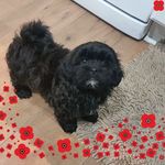 Neil Baird - @neil.baird.75 - Instagram