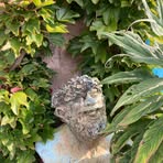 Balthazar Noël - Facebook