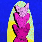 Neil Barhite - @neilbarhite - Instagram