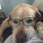 Neil Barbour - @neil.barbour.3 - Instagram