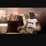 Neil Barrick - @barrickneil - Instagram