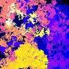 Neil Bauer - @neil.bauer - TikTok