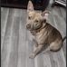 Neil Baum - Facebook