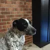 Neil Beach - @neil.beach - TikTok