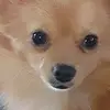 Neil Beaney Jr. - @neil.beaney.jr - TikTok