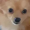 Neil Beaney Jr. - @neil.beaney.jr - TikTok