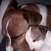 Neil Beck - Facebook