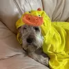 Neil Beck - @neil.beck0 - TikTok