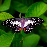 Neil Becker - @neilbecker75 - Instagram