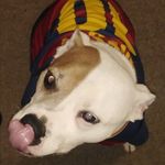 Neil benson - @neil.benson2305 - Instagram