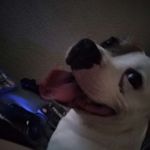 Neil Cory Benson - @neil_benson2305 - Instagram
