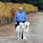 Neil Berger - @neil.berger.505 - Instagram