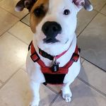 Neil Bergeron - @neil_bergeron76 - Instagram