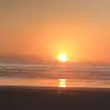 Neil Best - @neil.best - TikTok