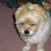 Neil Biddle - Facebook