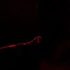 blank0neil - @blank0neil - TikTok