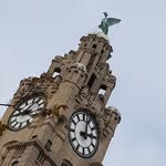 Neil Bliss - @neilbliss9 - Instagram