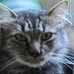 Neil Boggs - Facebook