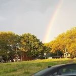 neil bostick - @neilbostick - Instagram