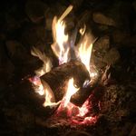 Neil Bowden - @shamanima - Instagram