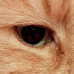 Neil Bowers - @themarvelousmrb73 - Instagram