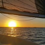 Neil Breen - @breen.neil - Instagram