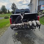Brian Neil - @neil.brian - Instagram