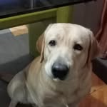 Neil Cabrera - @neil.cabrera.5895 - Instagram