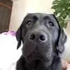calderneil - @calderneil - TikTok