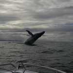 Neil Caldwell - @neilcaldwell55 - Instagram