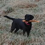 Neil Caldwell - @neilcaldwell20 - Instagram